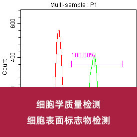 細(xì)胞表面標(biāo)志物檢測(cè)