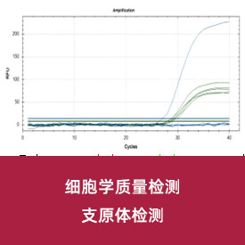 支原體檢測(cè)