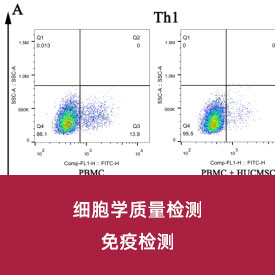 干細(xì)胞免疫學(xué)檢測(cè)